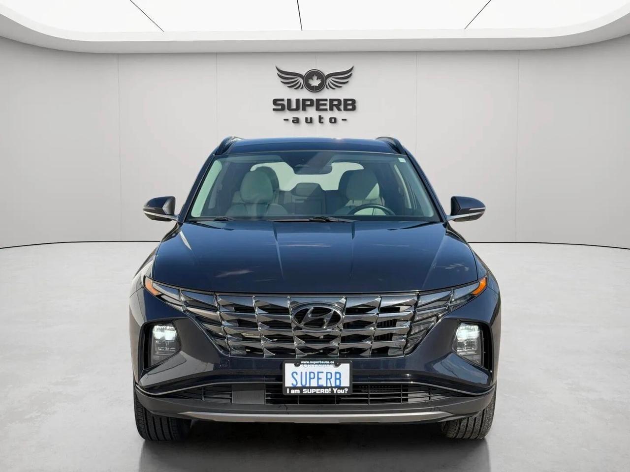 2022 Hyundai Tucson LUXURY   AWD   HYBRID   NO ACCIDENT   BOSE SOUND Photo