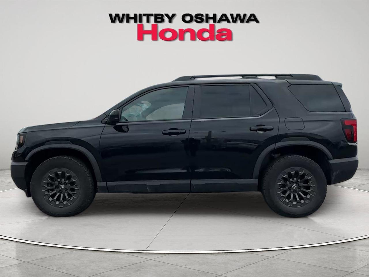2026 Honda Passport  Photo