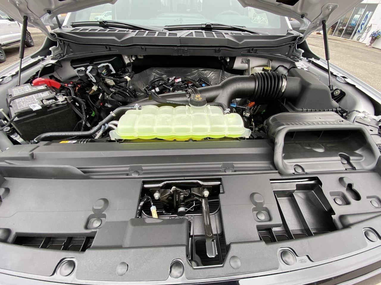 2026 Ford F-150 XLT Photo