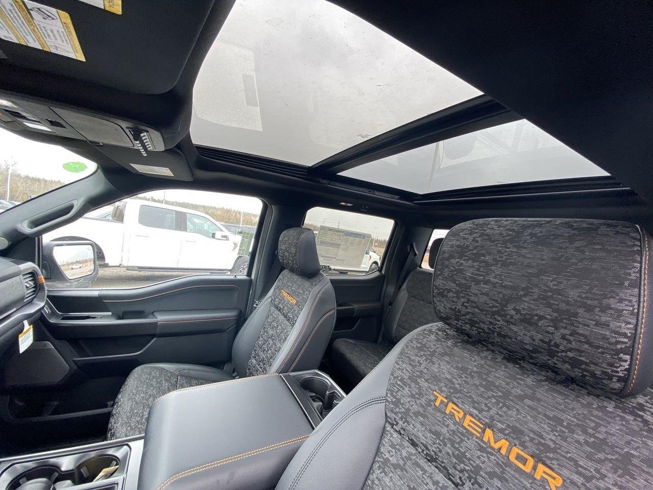 2026 Ford F-150 Tremor Photo