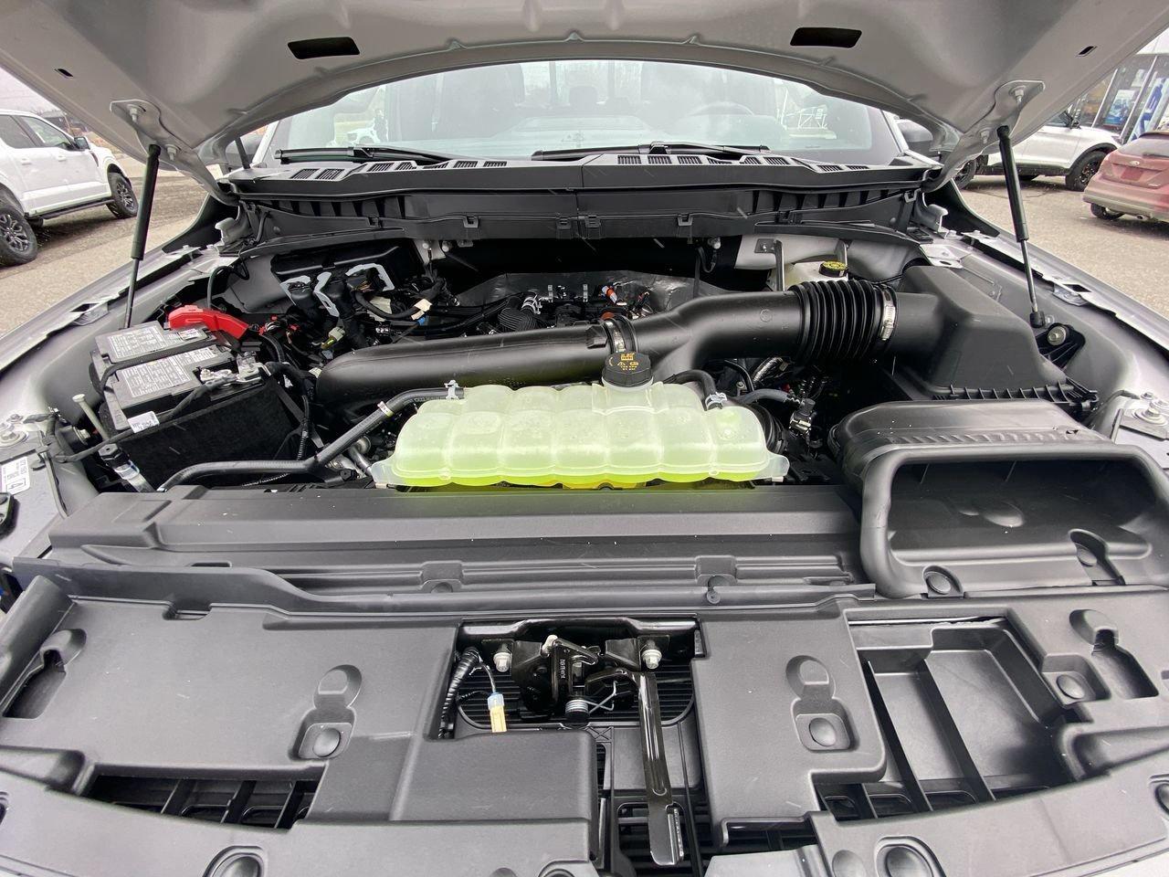 2026 Ford F-150 Tremor Photo