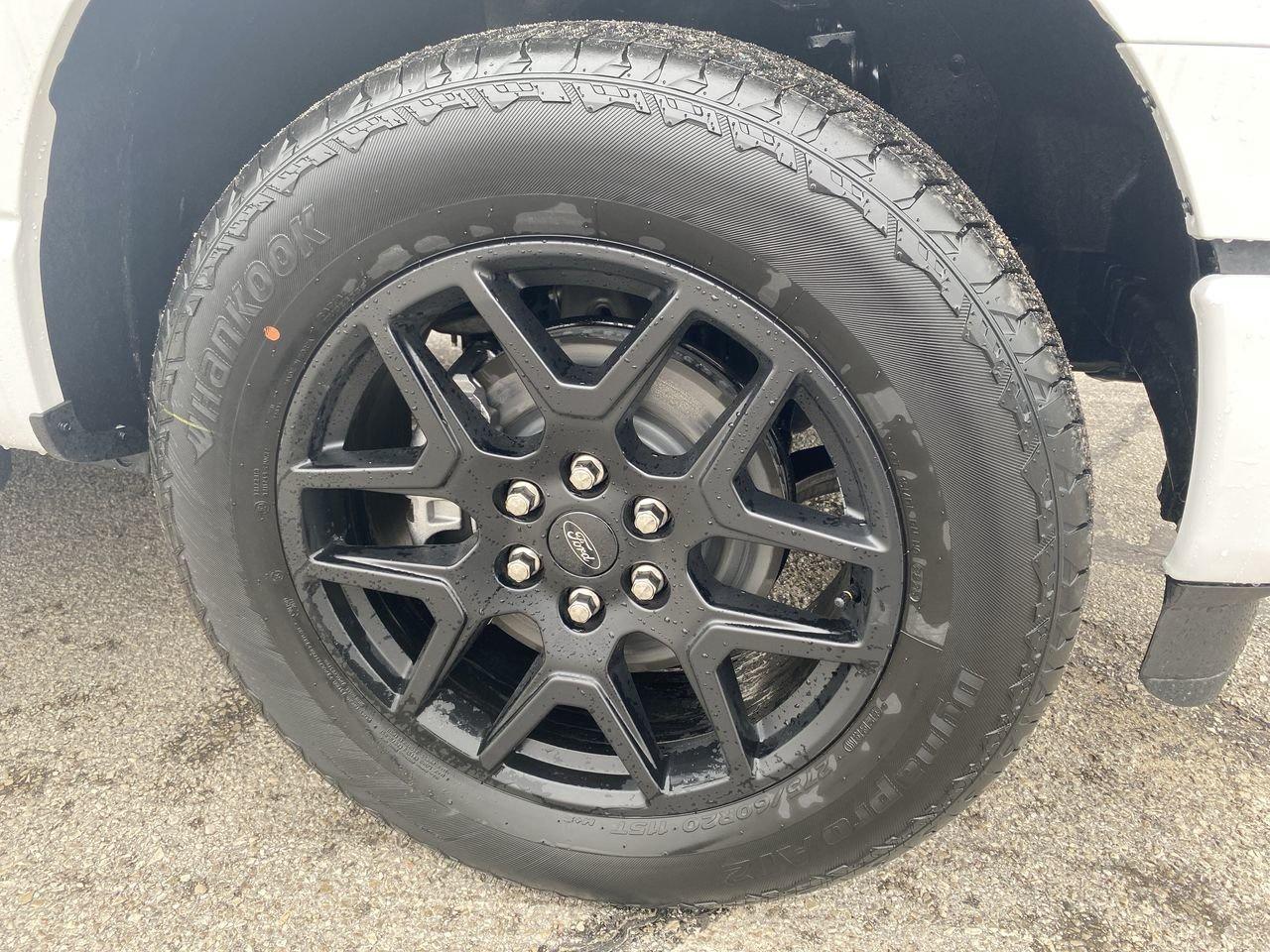 2026 Ford F-150 STX Photo