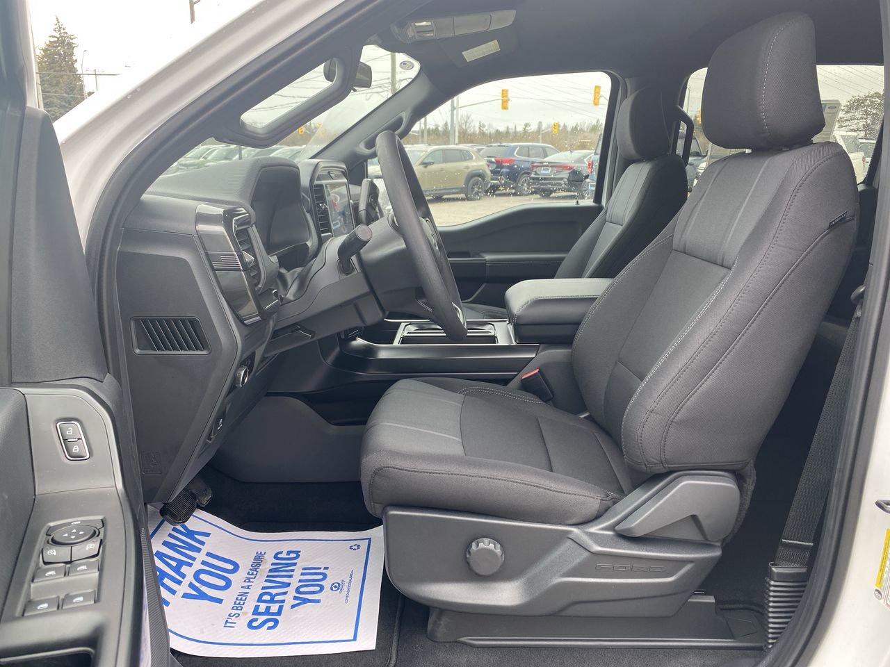 2026 Ford F-150 STX Photo
