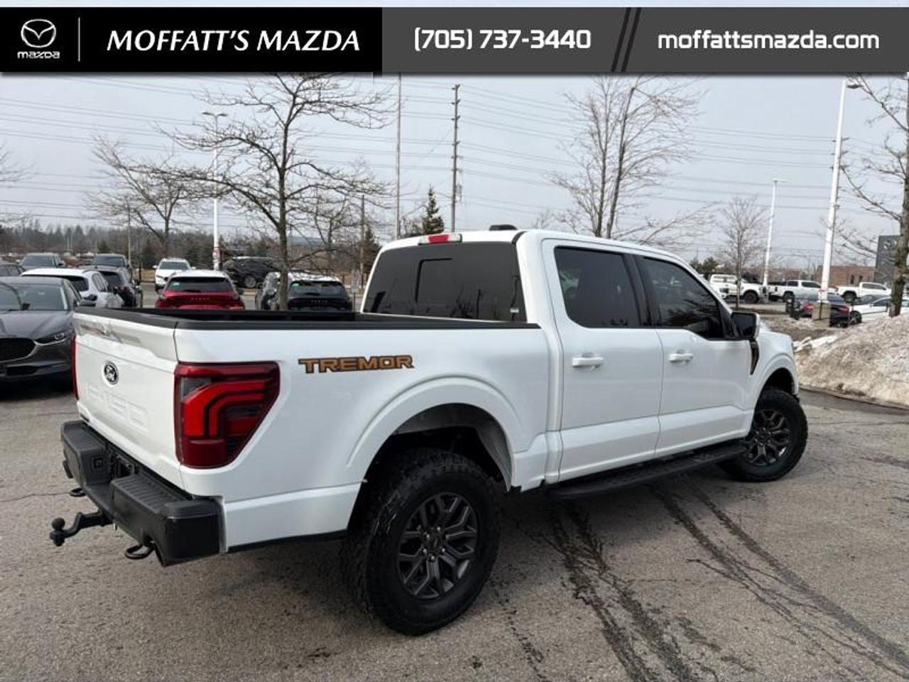 2024 Ford F-150 Tremor Photo