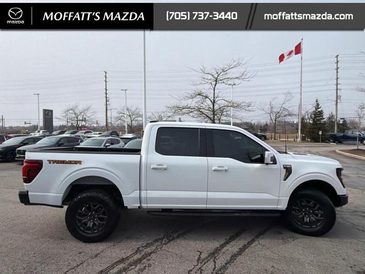 2024 Ford F-150 Tremor Photo