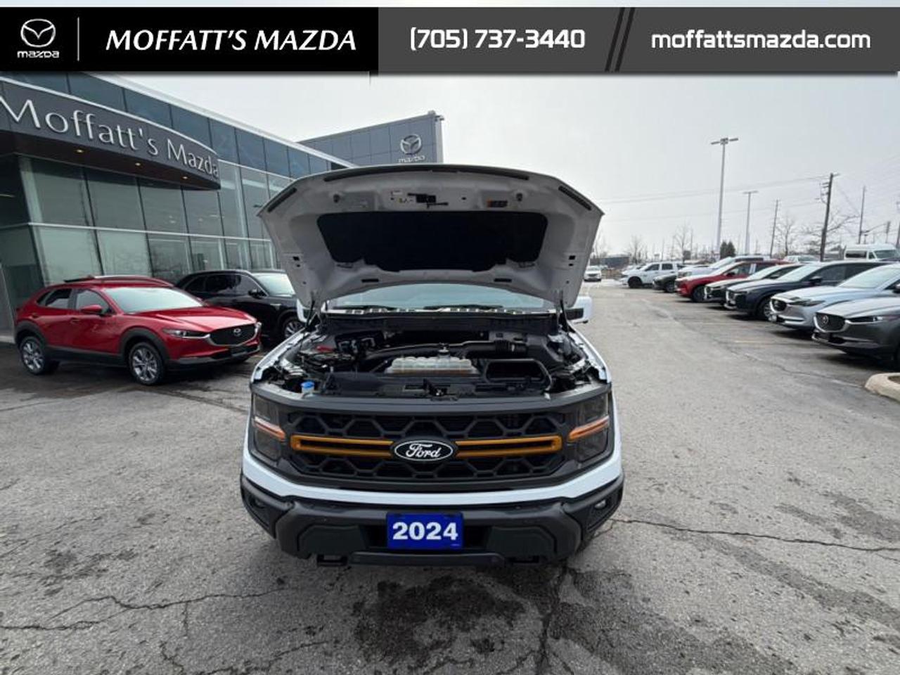 2024 Ford F-150 Tremor Photo