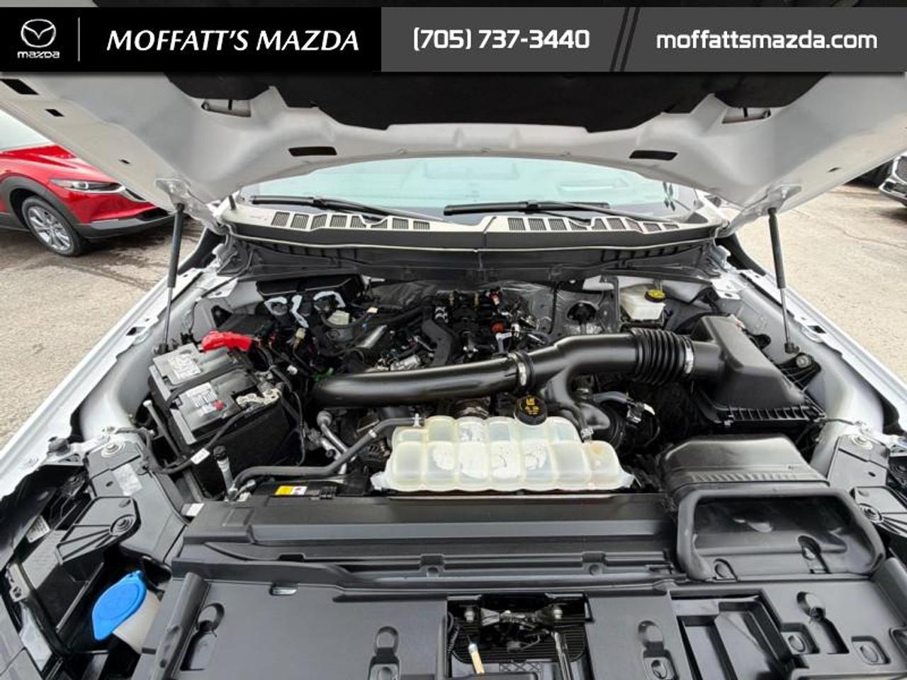 2024 Ford F-150 Tremor Photo