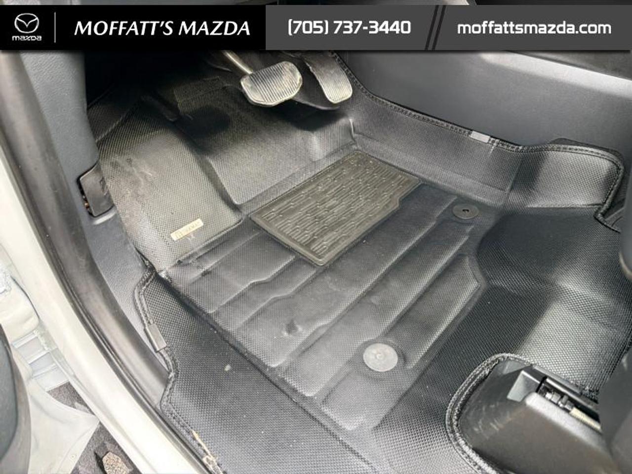 2024 Ford F-150 Tremor Photo