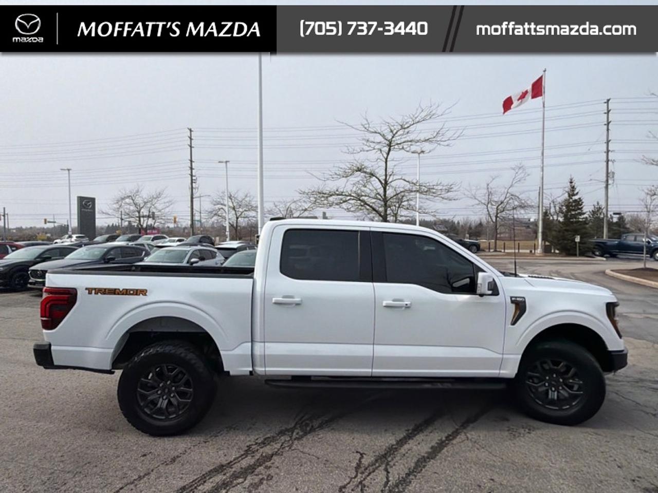 2024 Ford F-150 Tremor Photo