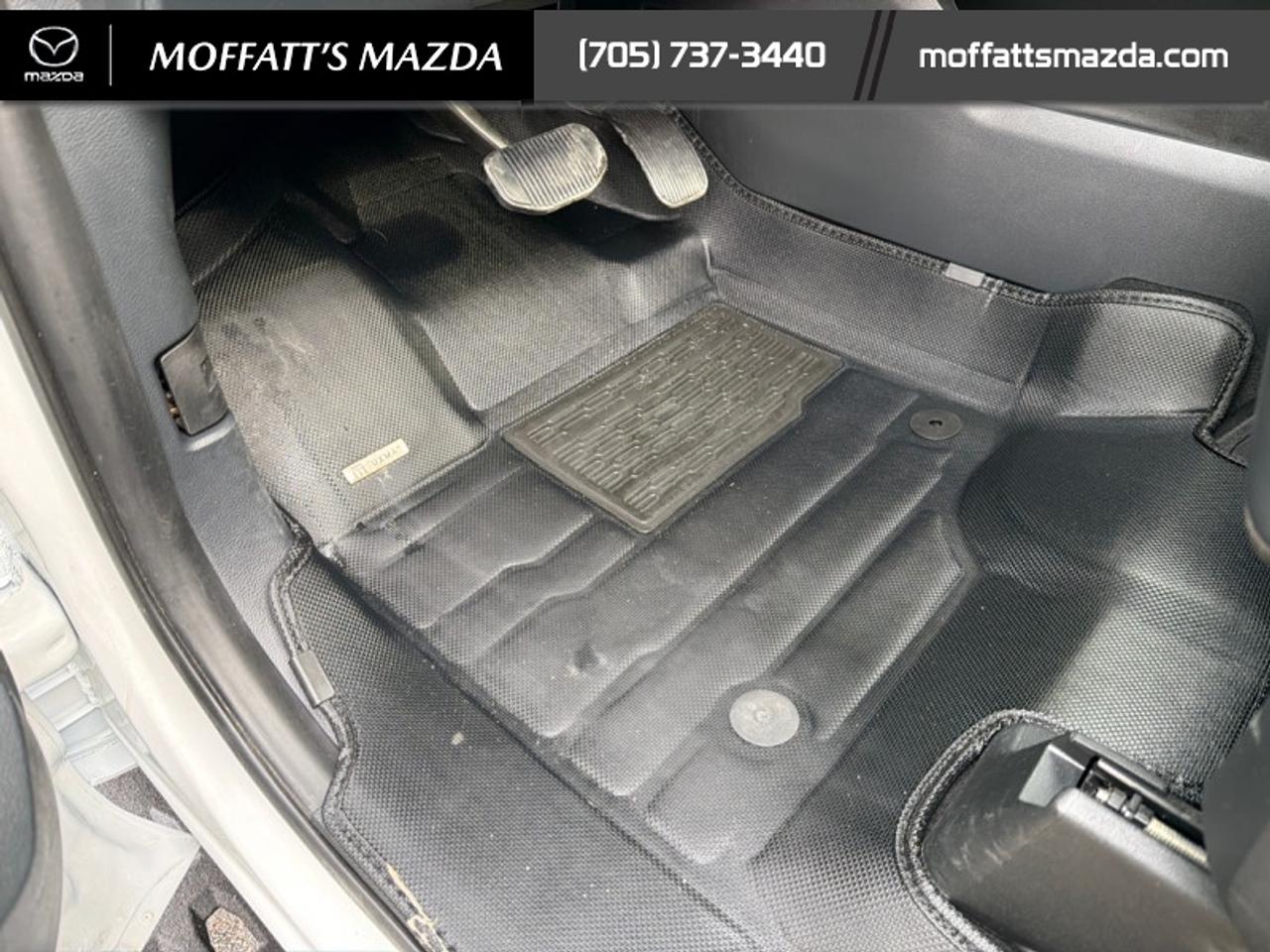 2024 Ford F-150 Tremor Photo