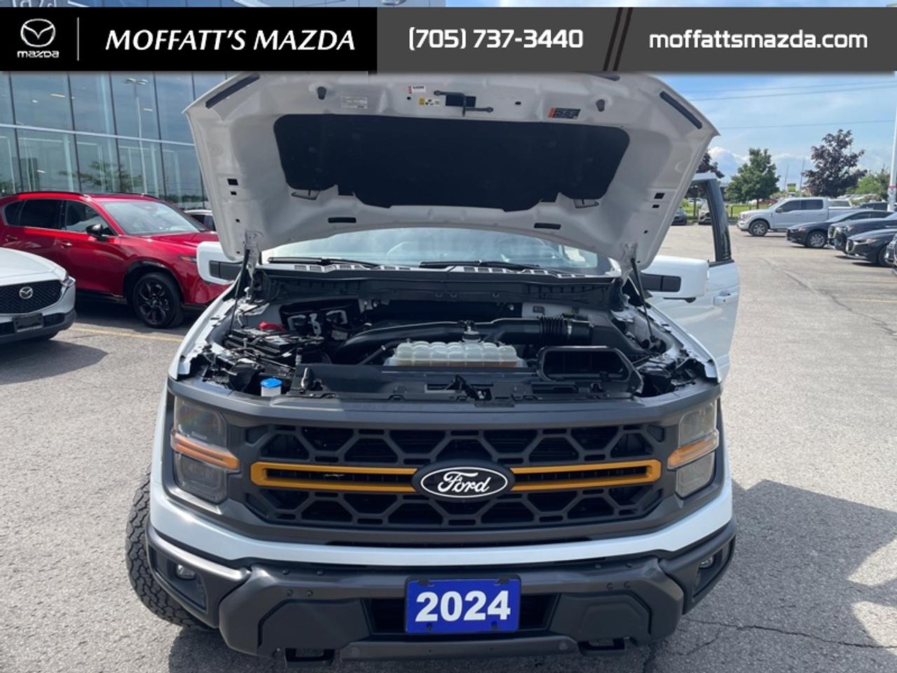 2024 Ford F-150 Tremor Photo