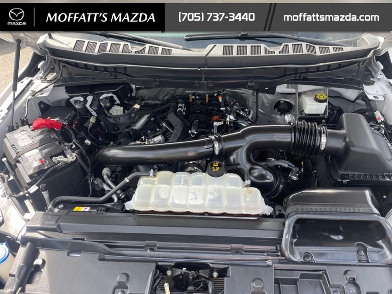 2024 Ford F-150 Tremor Photo