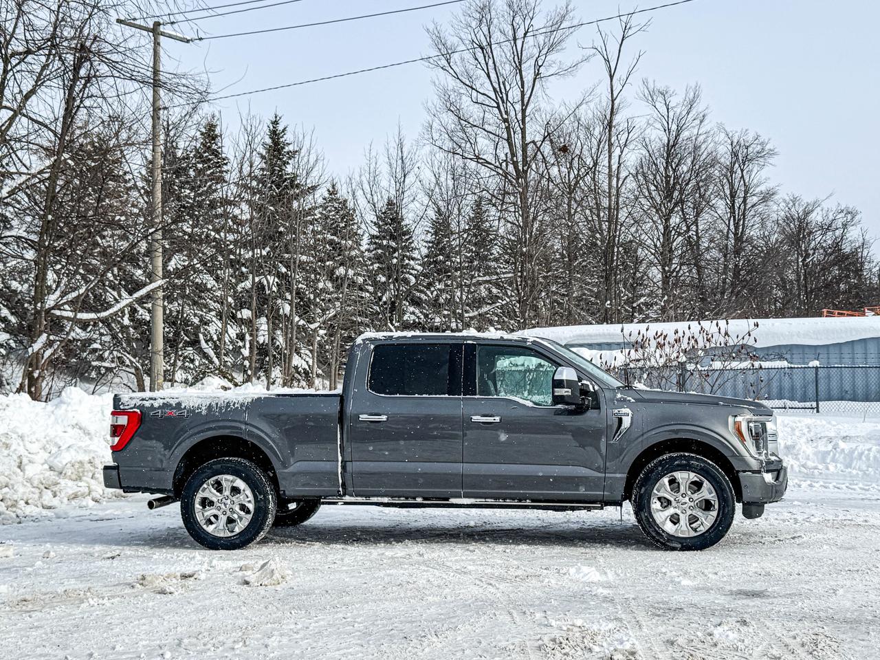 2022 Ford F-150 Lariat Photo