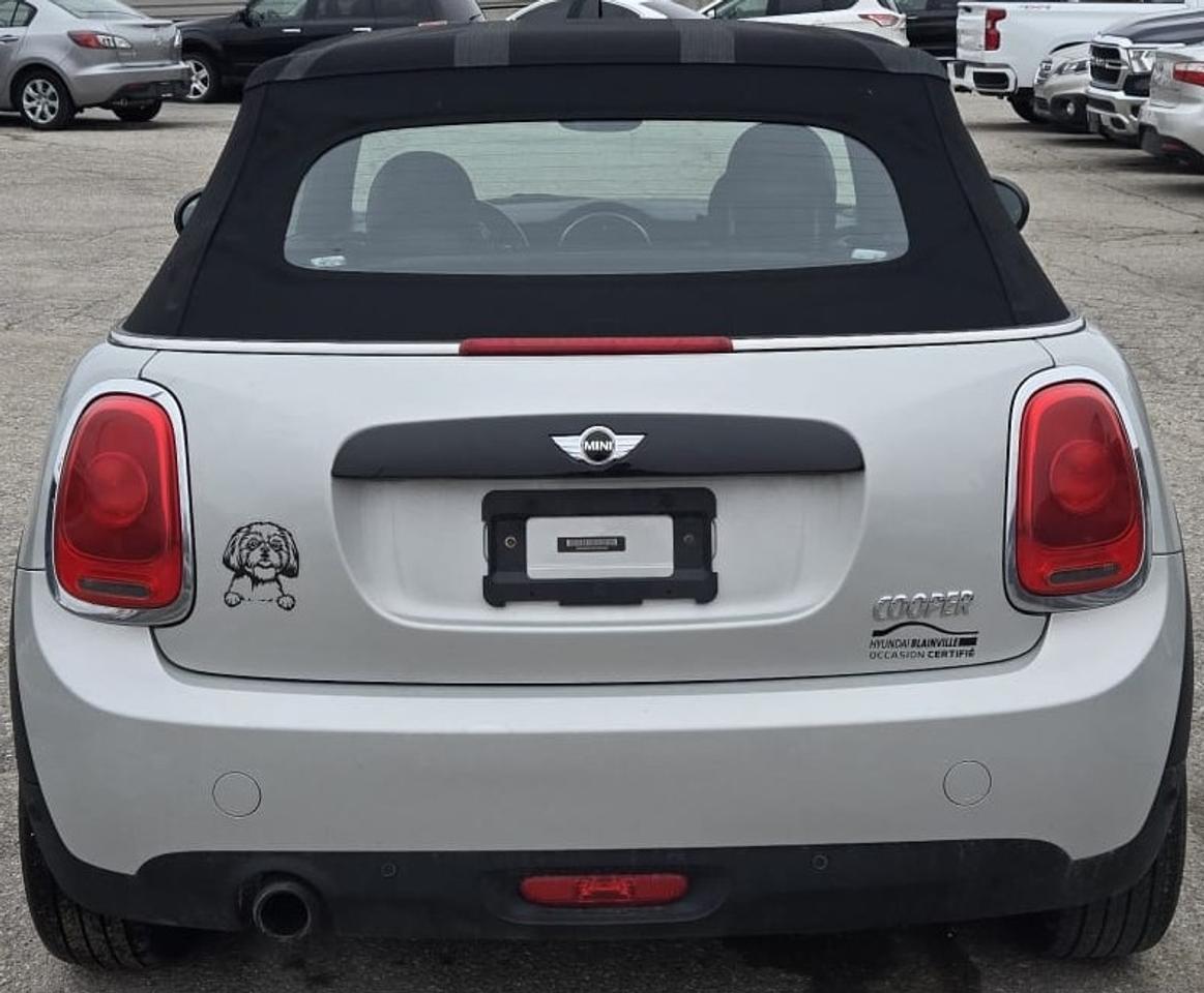 2018 MINI Cooper Convertible COOPER / NO ACCIDENTS / CONVERTABLE / LEATHER Photo