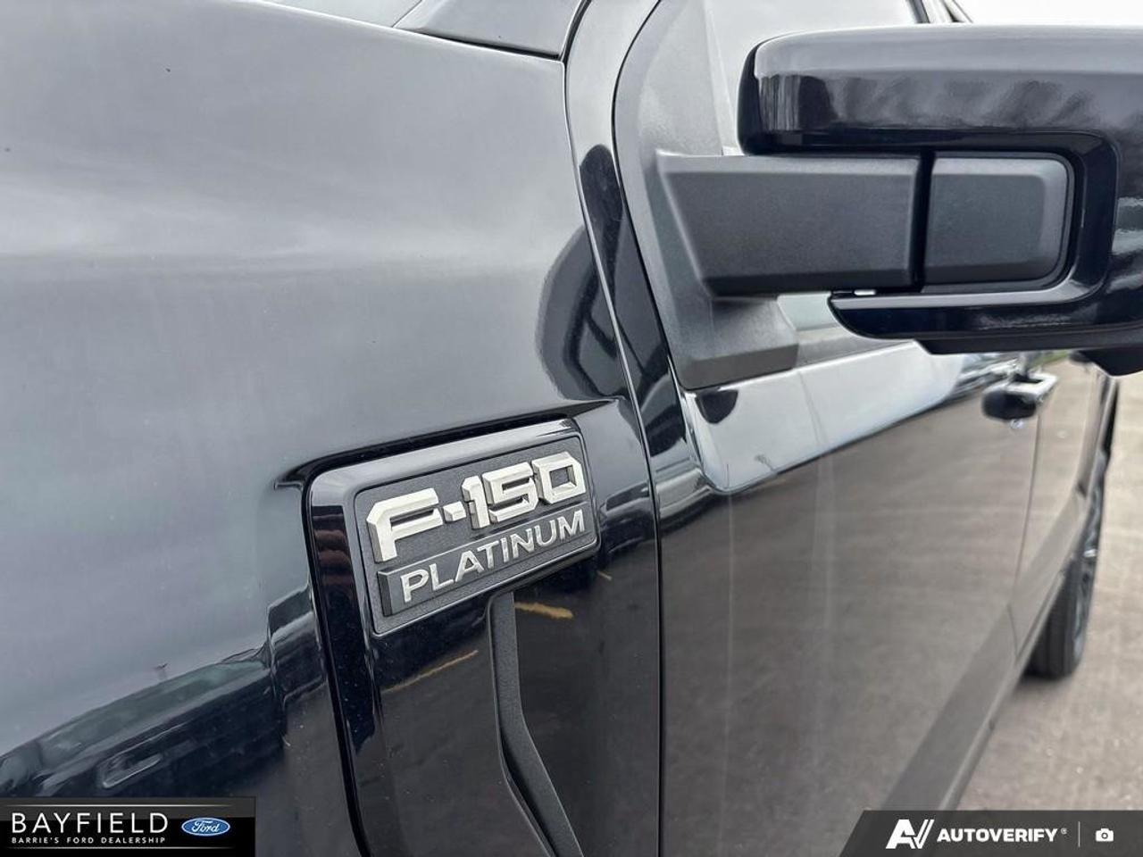 2026 Ford F-150 Platinum Photo