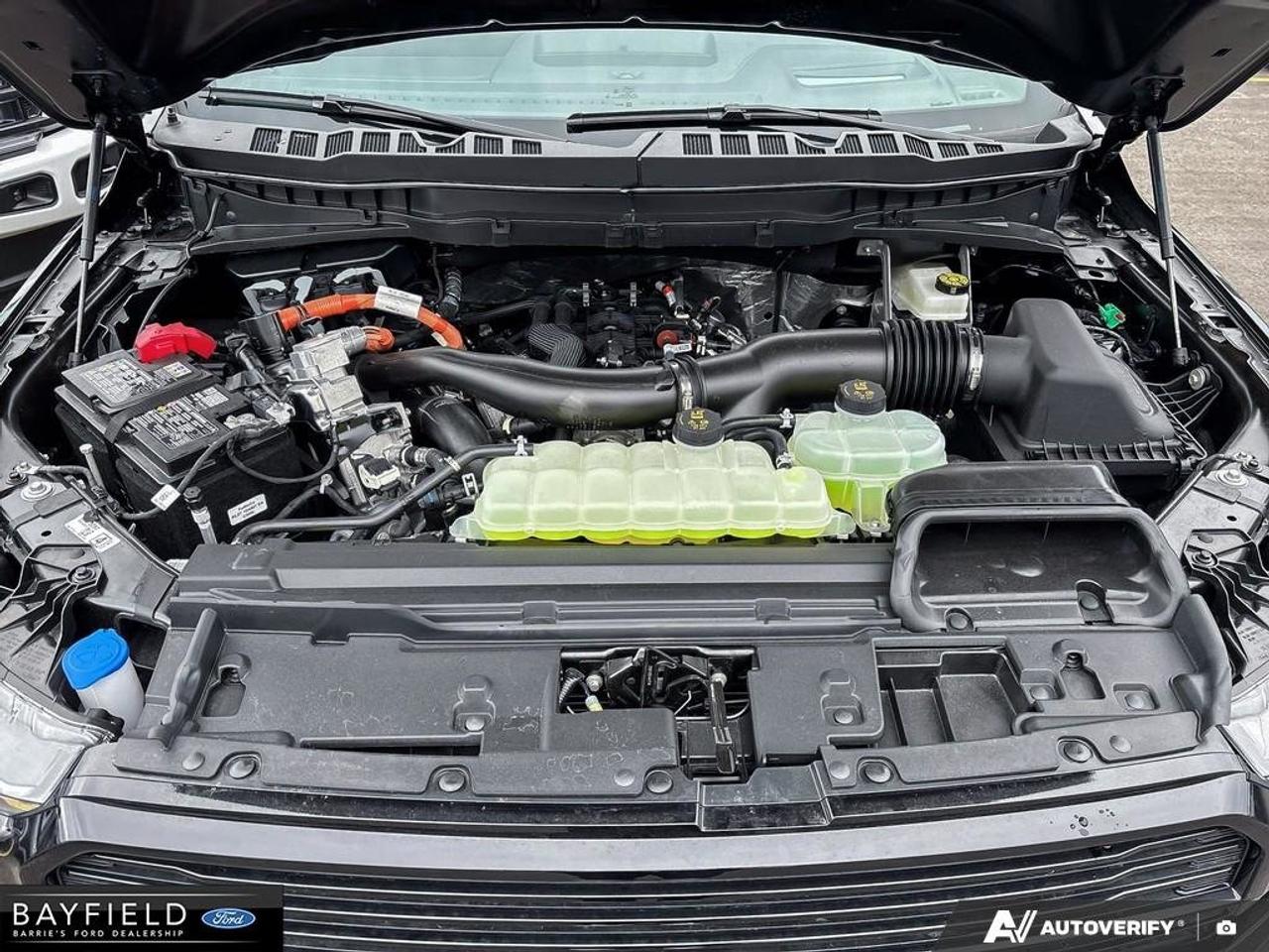 2026 Ford F-150 Platinum Photo