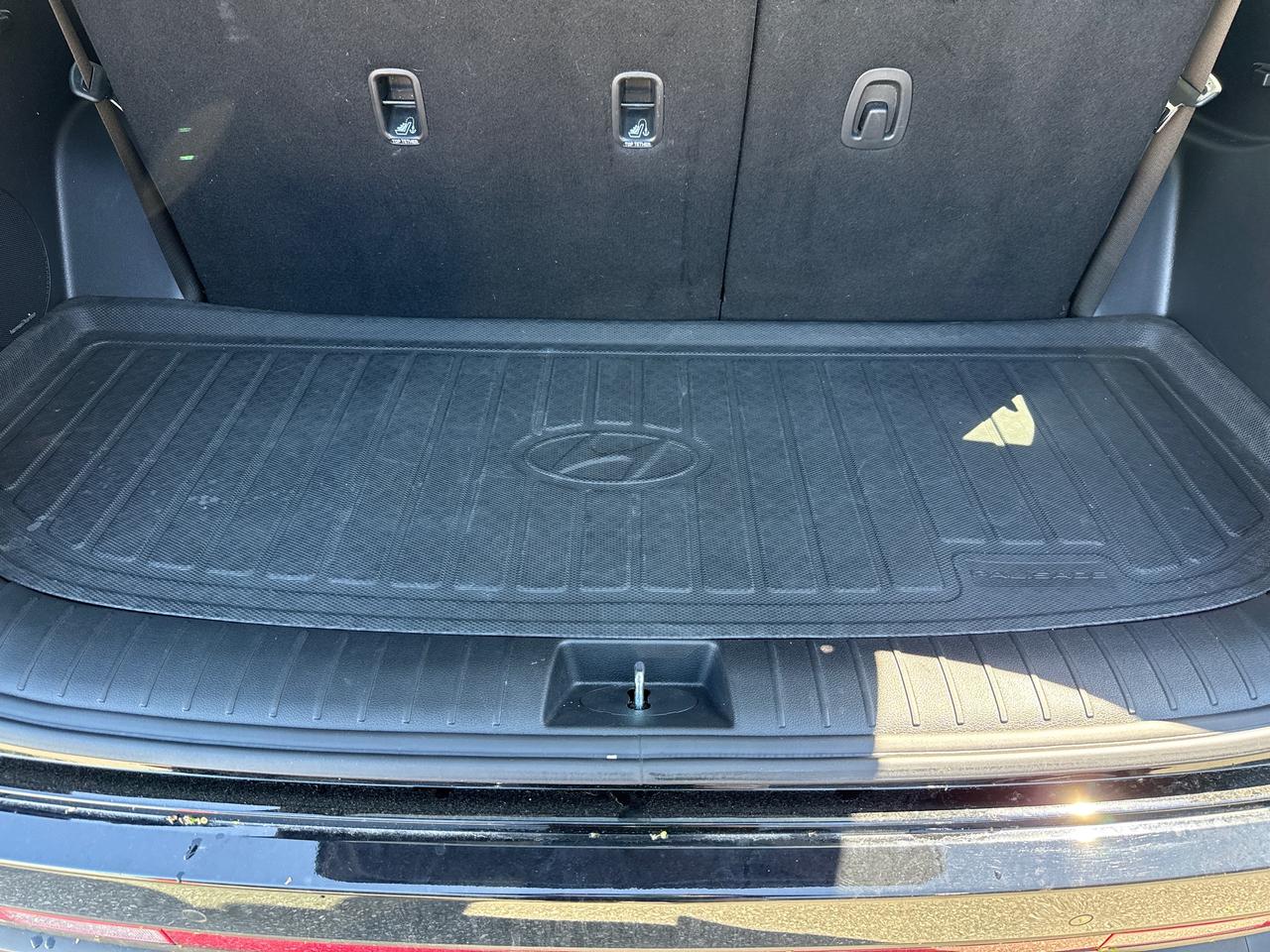 2024 Hyundai PALISADE Urban 8 Passenger Photo