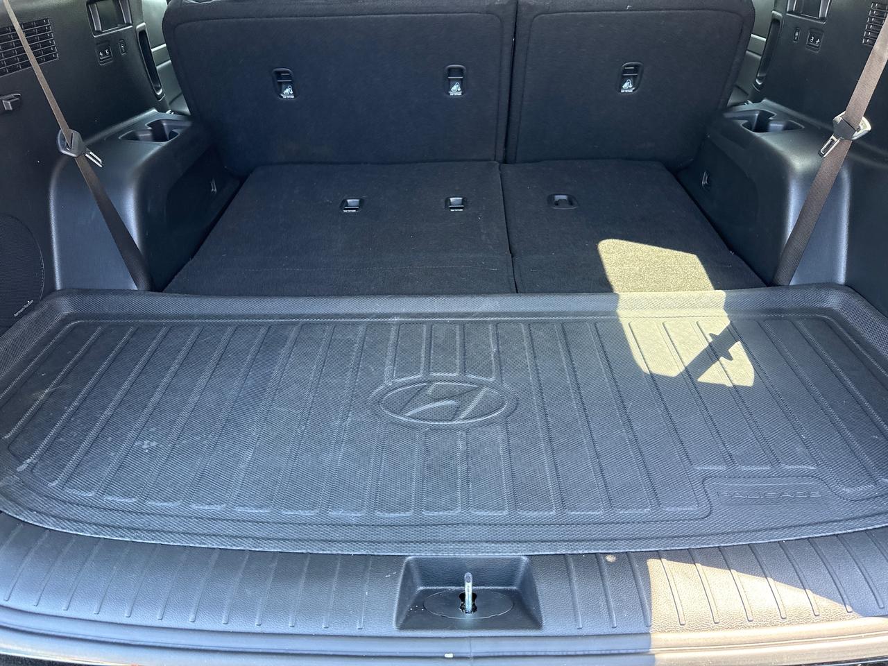 2024 Hyundai PALISADE Urban 8 Passenger Photo