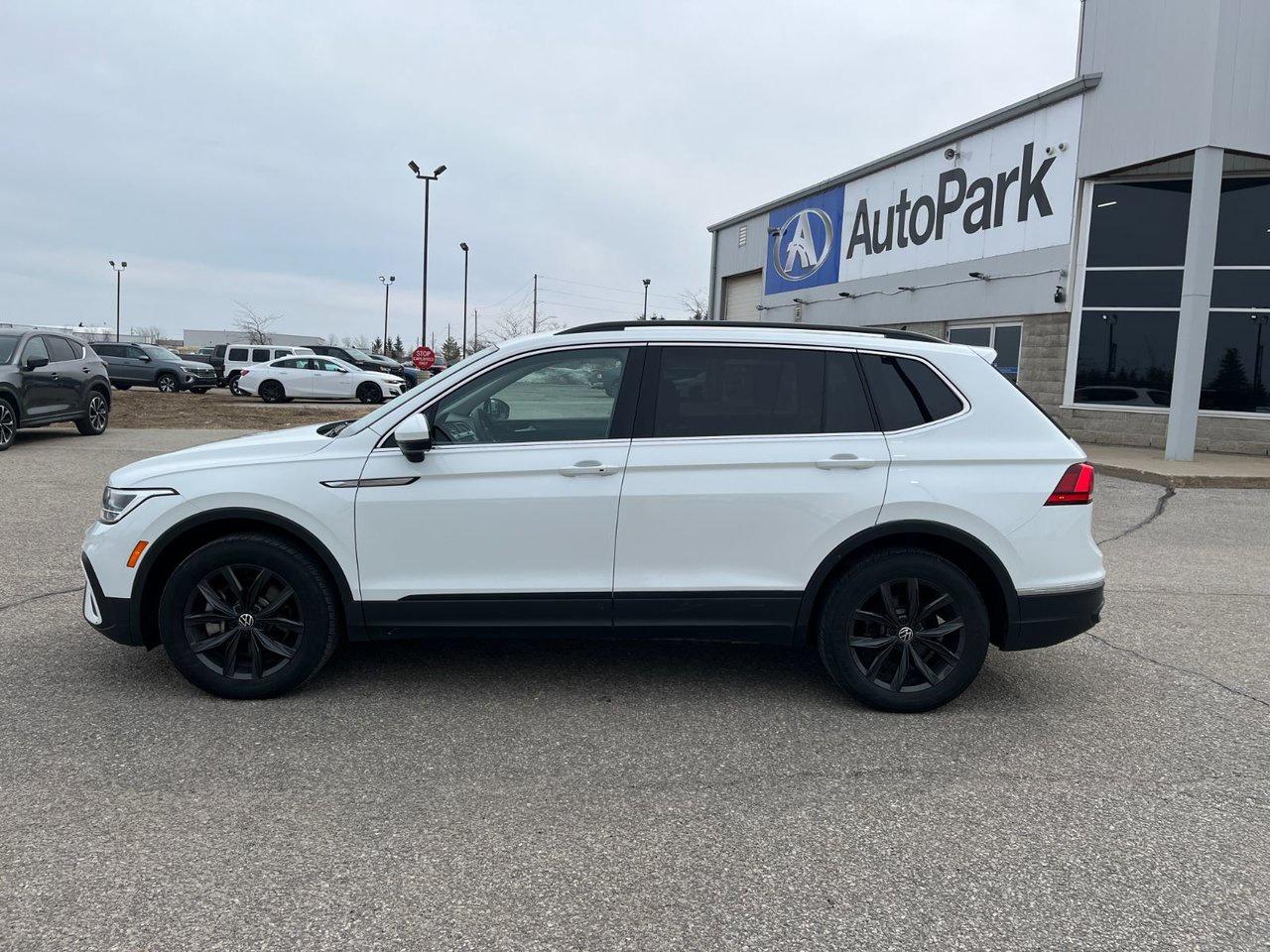 2024 Volkswagen Tiguan COMFORTLINE 4Motion Photo