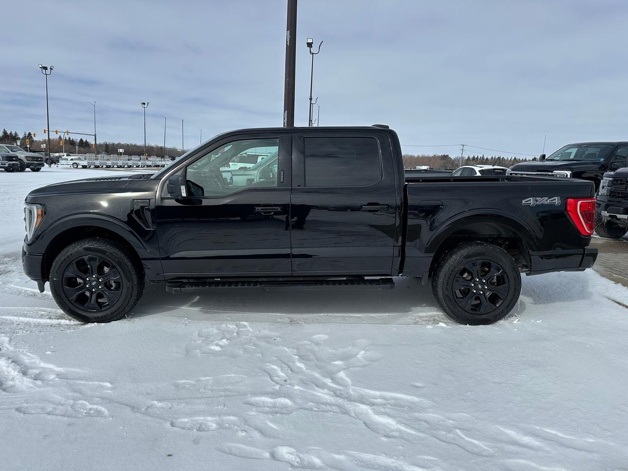 2022 Ford F-150 XLT Photo