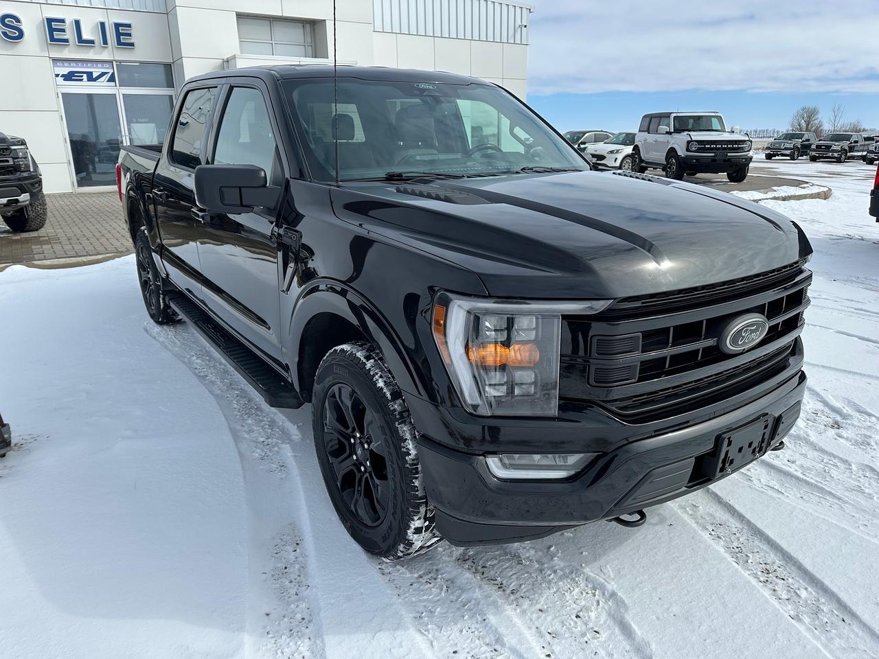 2022 Ford F-150 XLT Photo