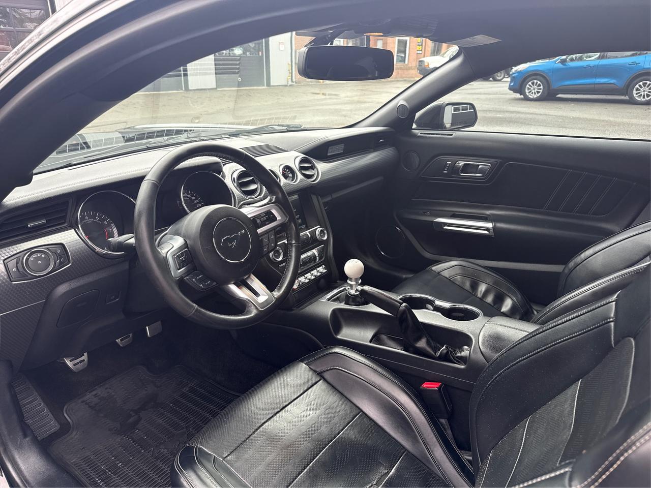 2015 Ford Mustang EcoBoost Premium Photo