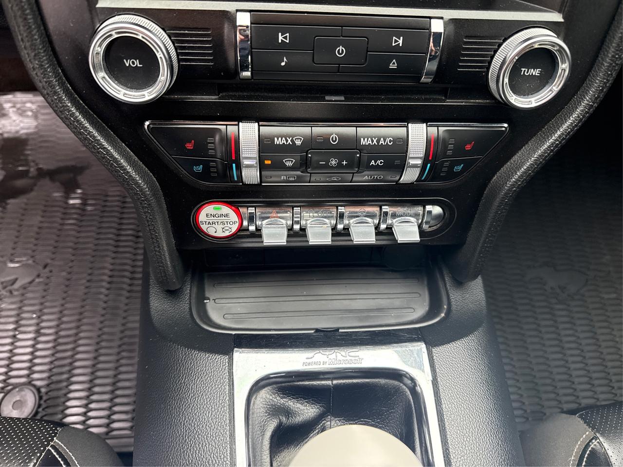 2015 Ford Mustang EcoBoost Premium Photo