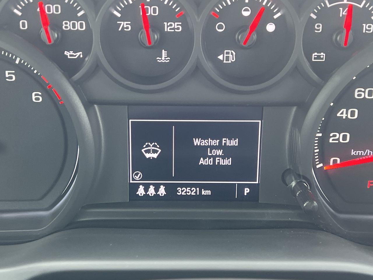 2024 Chevrolet Silverado 1500 Custom Trail Boss 4x4, POWER REAR MIRRORS, CRUISE CONTROL, BACK UP CAM, SIRIUS XM!! Photo