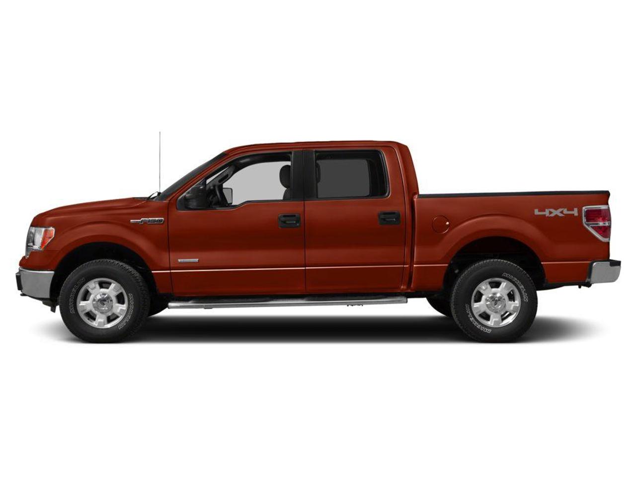 2014 Ford F-150  Photo
