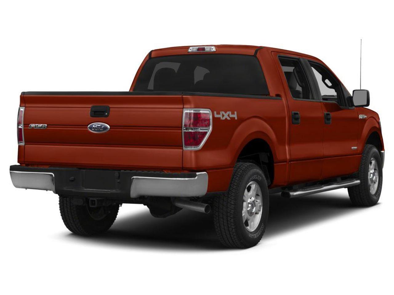 2014 Ford F-150  Photo