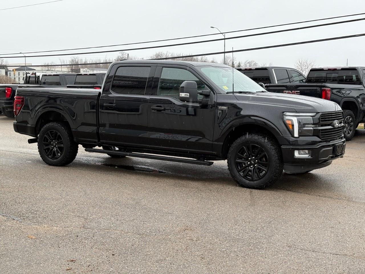 2024 Ford F-150 PLATINUM 4WD SUPERCREW 6.5' BOX Photo4