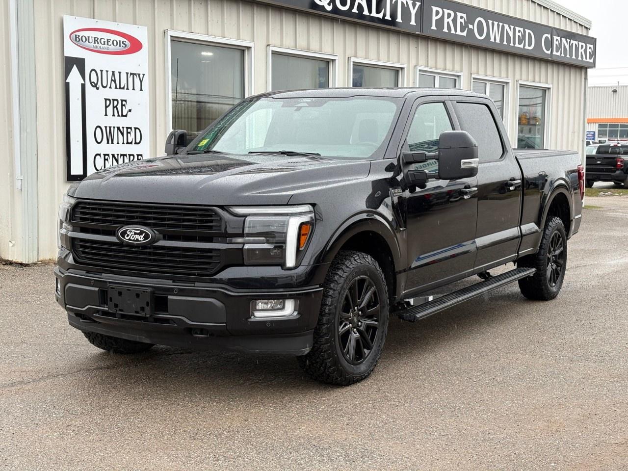 2024 Ford F-150 PLATINUM 4WD SUPERCREW 6.5' BOX Photo