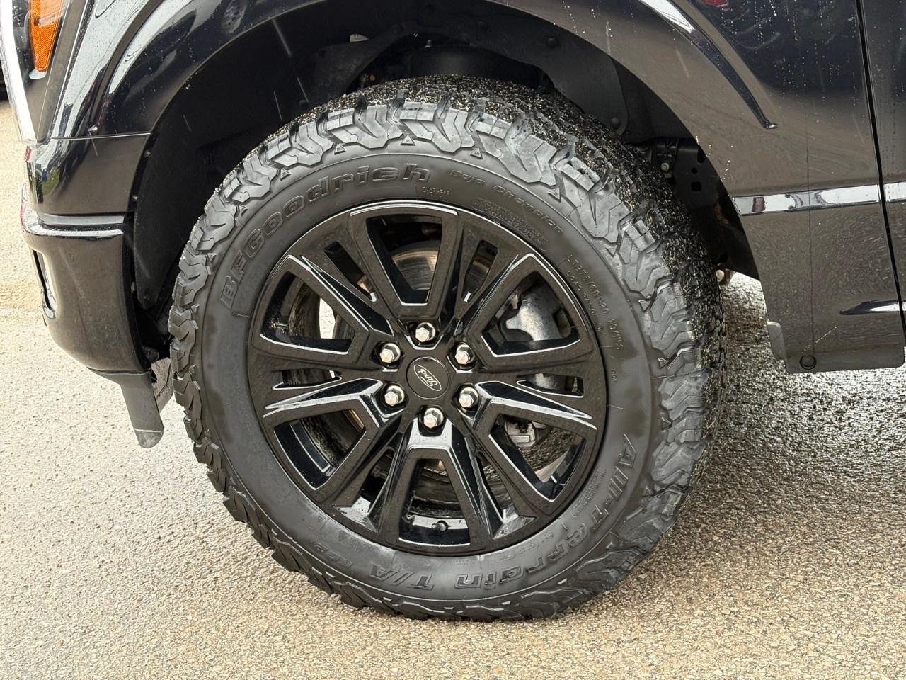 2024 Ford F-150 PLATINUM 4WD SUPERCREW 6.5' BOX Photo