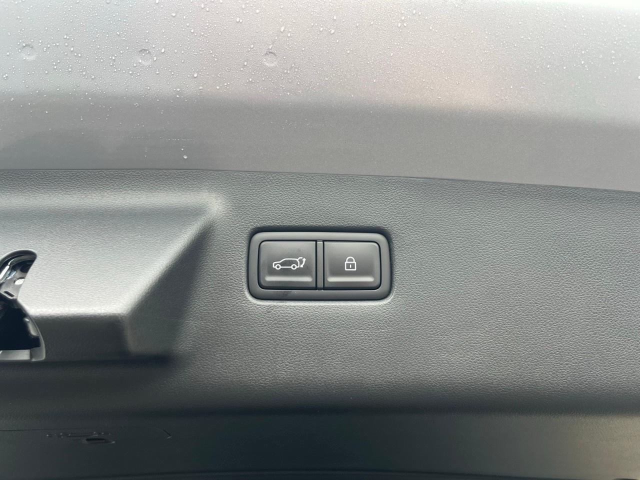 2026 Hyundai Santa Fe Hybrid Preferred AWD w/Trend Pkg Photo