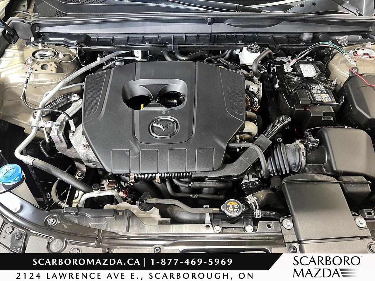 2025 Mazda CX-50 GT Photo