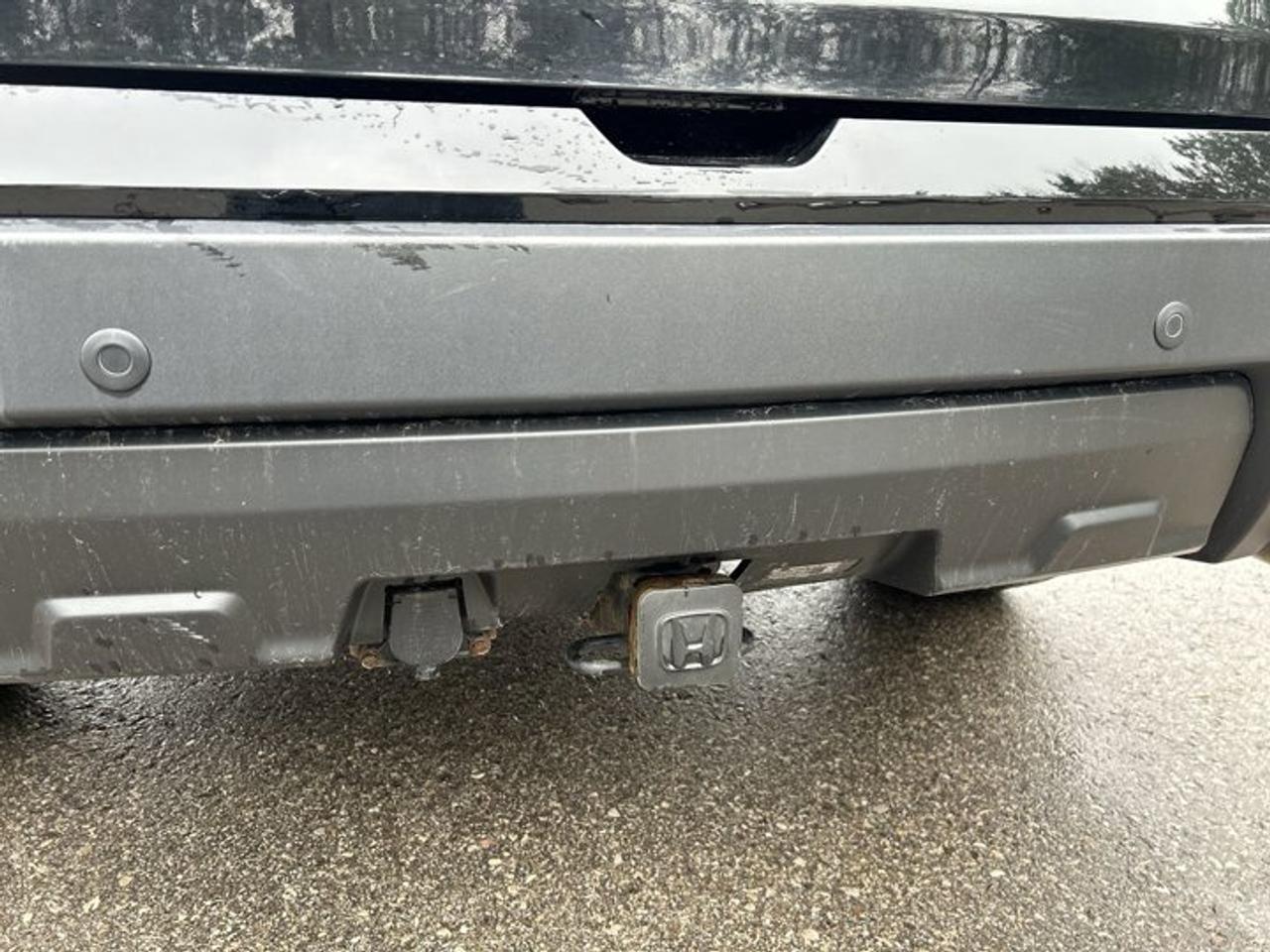 2023 Honda Passport TrailSport AWD | No accidents | Leather Seats Photo
