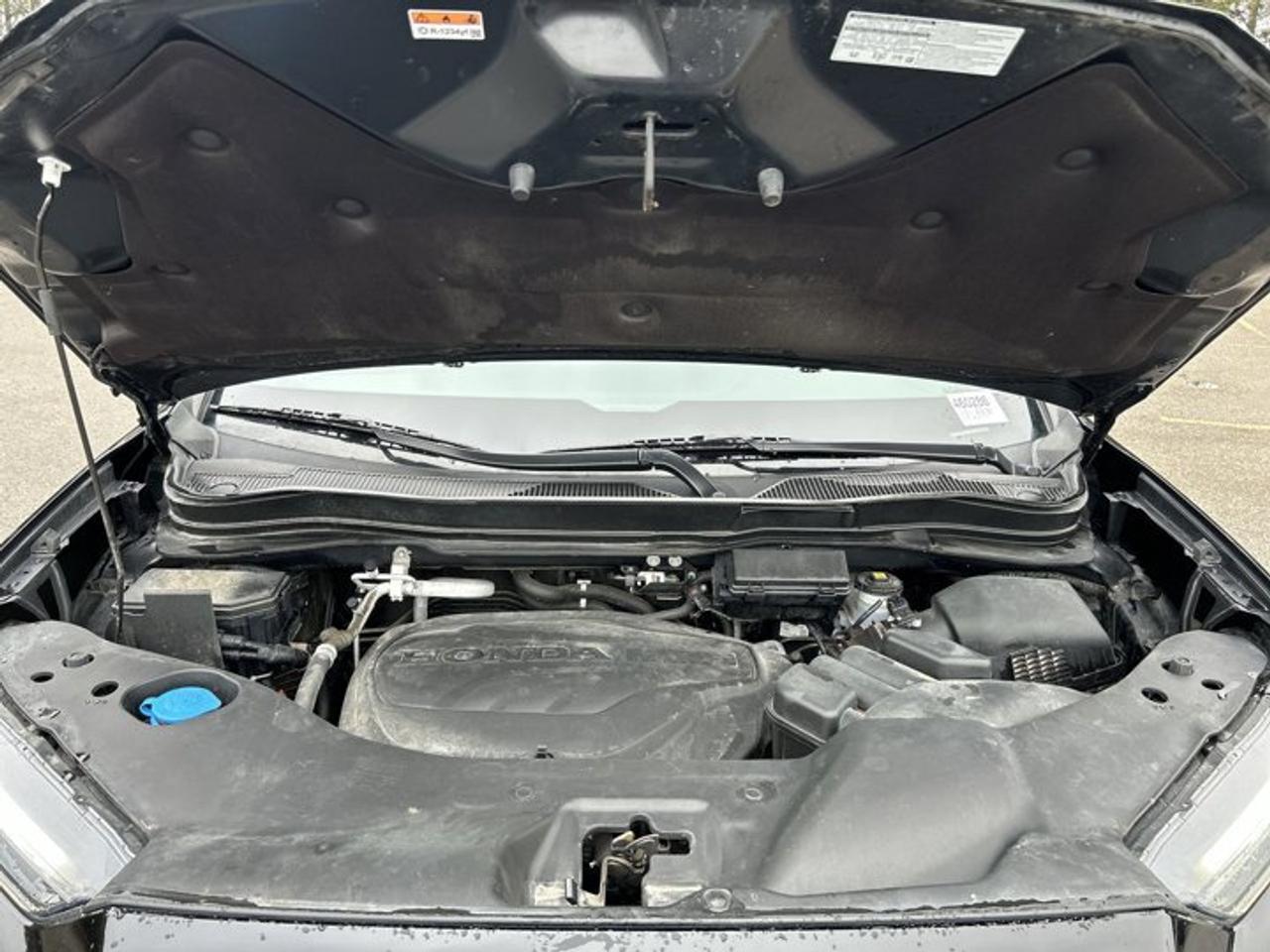 2023 Honda Passport TrailSport AWD | No accidents | Leather Seats Photo