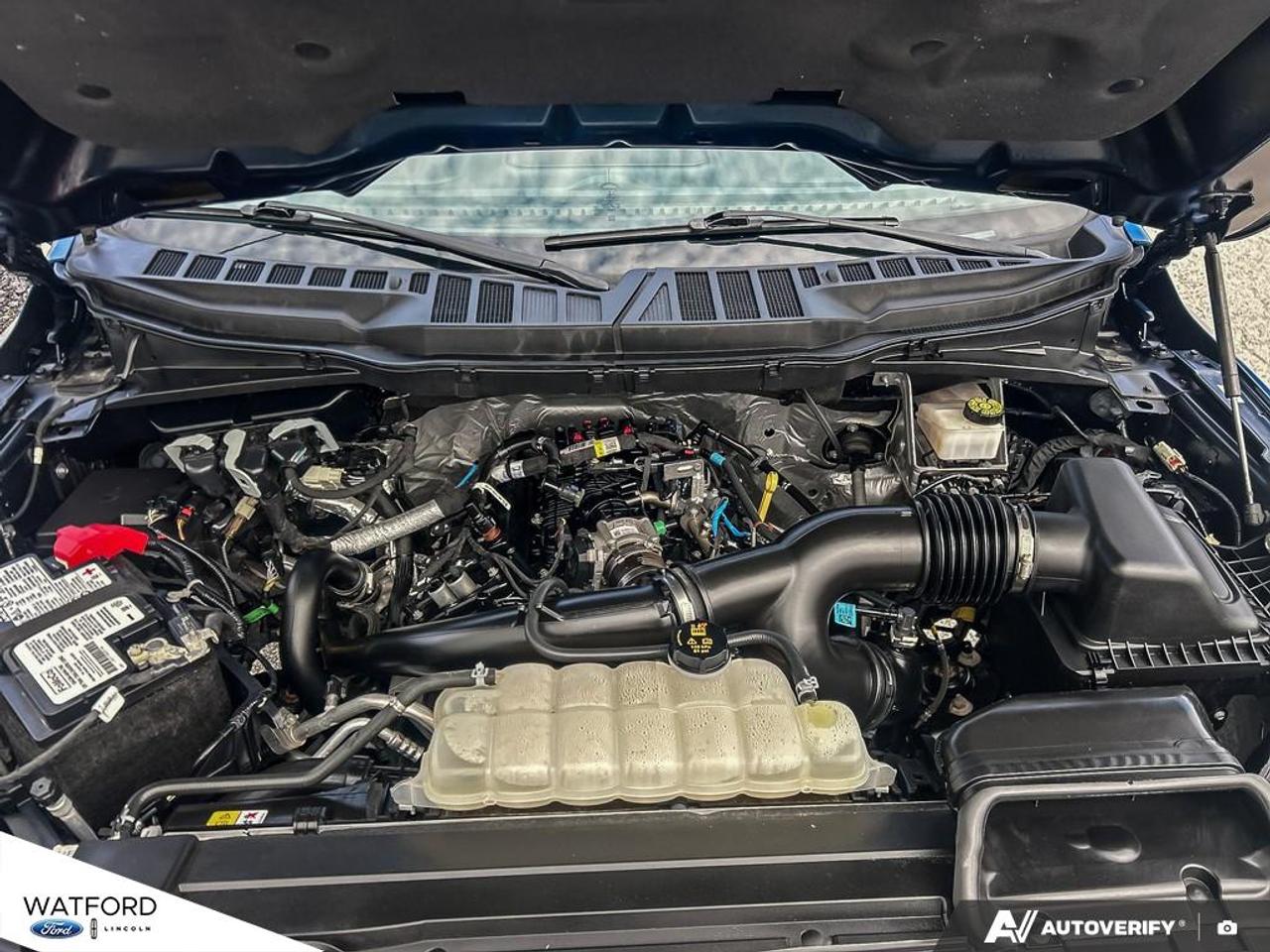 2023 Ford F-150 XLT 4WD SuperCrew 5.5' Box Photo