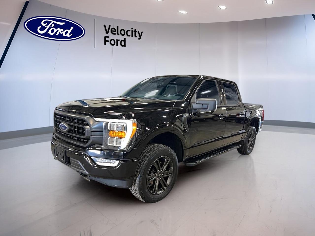 // ACCIDENT FREE!! //
// SINGLE OWNER! //

This 2022 Ford F-150 XLT 4WD SuperCrew 5.5 Box is a smart full-size truck for work, family, and daily driving in Moose Jaw. CARFAX Canada reports no accident, and CARFAX Canada also confirms a single owner. With 38,816 km, a black exterior, black interior, and automatic transmission, it is ready to go.

Powered by a 2.7-litre unleaded engine, this 2022 Ford F-150 XLT 4WD SuperCrew 5.5 Box delivers strong everyday performance with the added confidence of Four-Wheel Drive. Its four-door SuperCrew layout gives you easy access to a roomy cabin, while the 5.5-foot box adds practical utility for tools, gear, and weekend cargo.

FEATURES OF THE F-150 XLT 4WD SuperCrew 5.5 Box
»» 2.7-litre unleaded engine with automatic transmission
»» Four-door SuperCrew cab for easy access
»» Four-Wheel Drive for added year-round confidence
»» 5.5-foot box for daily hauling needs

TRUCK FEATURES
»» Towing capacity rated at 4,580 kg
»» Rear tow hook adds useful truck capability
»» Off-road tires support tougher road conditions
»» Rear trunk access helps loading convenience

ADVANCED SAFETY FEATURES
»» Backup camera helps with reversing visibility
»» Lane departure warning adds driving support
»» Blind spot monitor boosts lane awareness
»» Anti-Lock Braking System improves control

PERFORMANCE AND EFFICIENCY
»» 2.7-litre engine balances power and efficiency
»» Automatic transmission delivers smooth shifting response
»» Dual shift mode adds manual control
»» Four-Wheel Drive supports traction on demand

COMFORT AND CONVENIENCE
»» Front air conditioning keeps cabin comfortable
»» Cruise control supports relaxed highway travel
»» Power windows add everyday ease
»» Driver and passenger lumbar support

TECHNONOLGY AND CONNECTIVITY
»» Navigation system helps guide every trip
»» Bluetooth integration supports hands-free communication
»» WiFi hotspot keeps devices connected
»» Steering wheel audio controls add convenience

CARGO SPACE
»» 5.5-foot box supports versatile hauling tasks
»» SuperCrew cabin adds practical interior storage
»» Four-door design improves passenger loading ease
»» Spare tire supports travel peace of mind

AWARDS & RECOGNITIONS
»» North American Truck of the Year, North American Car, Utility and Truck of the Year, 2021

WHAT OTHER OWNERS LIKE
»» Strong towing and everyday truck versatility
»» Comfortable cabin with useful rear space
»» Easy-to-use tech and connectivity features
»» Confident driving feel with Four-Wheel Drive

Finished in black inside and out, this 2022 Ford F-150 XLT 4WD SuperCrew 5.5 Box has a clean, professional look that fits both job sites and city streets. Heated mirrors, electric mirrors, fog lights, tinted windows, and automatic headlights add useful day-to-day value without overcomplicating the truck.

This used Ford also includes power steering, stability control, tire pressure monitoring, child safety locks, driver and passenger airbags, side impact airbags, head side airbags, passenger airbag sensor, automatic door locks, rear window defroster, satellite radio, and illuminated vanity mirrors. It is a well-equipped pickup with the key features many drivers want most.

If you want a capable, well-kept truck with strong towing, practical comfort, and proven Ford capability, this F-150 deserves a close look at Velocity Ford in Moose Jaw. It offers the right mix of power, safety, and useful equipment for drivers who need a dependable pickup every day.

This 2022 Ford F-150 XLT 4WD SuperCrew 5.5 Boxs VIN is: 1FTEW1EP2NFA33358.