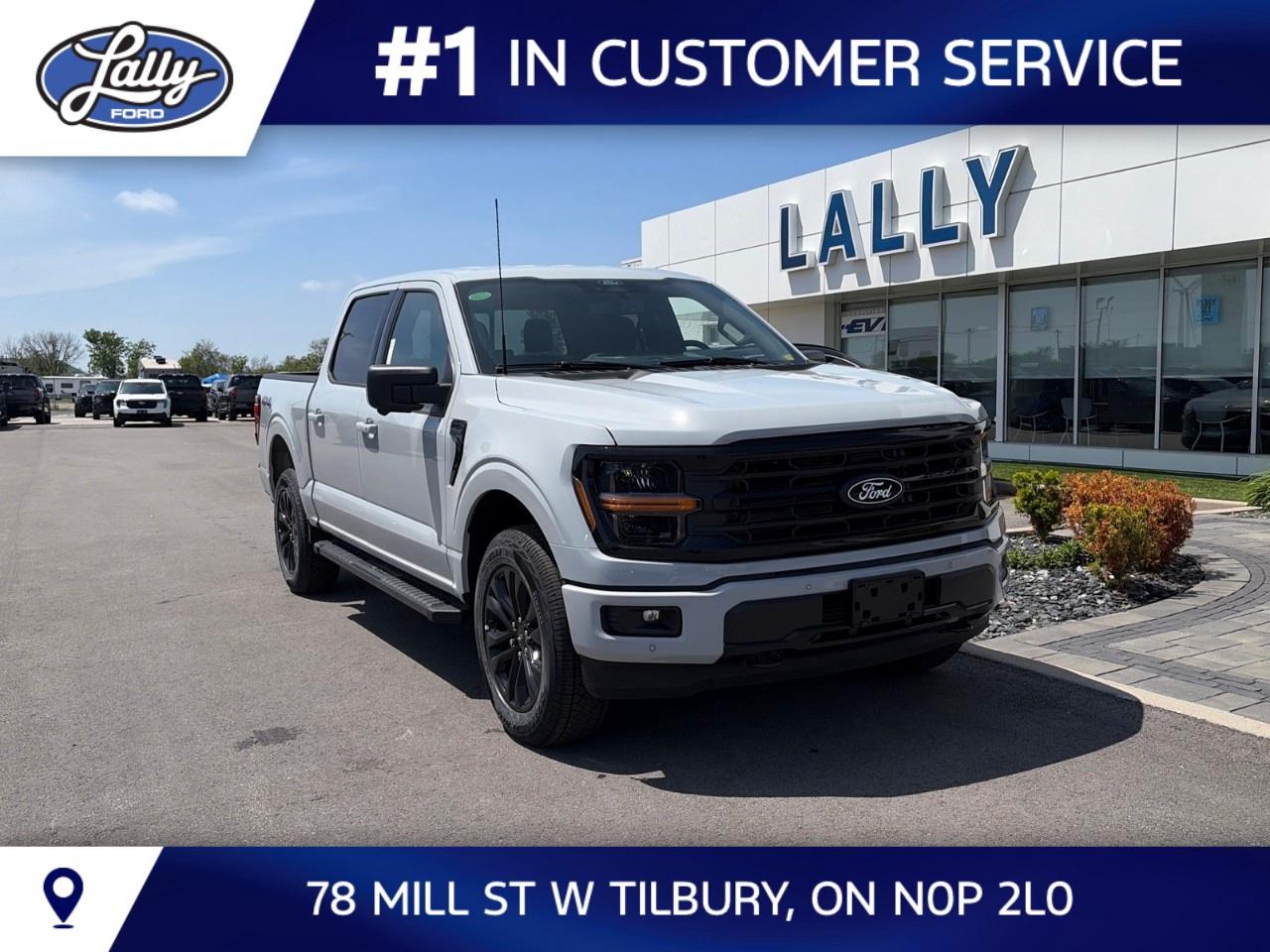 2026 Ford F-150 XLT 4WD SuperCrew 5.5' Box Photo