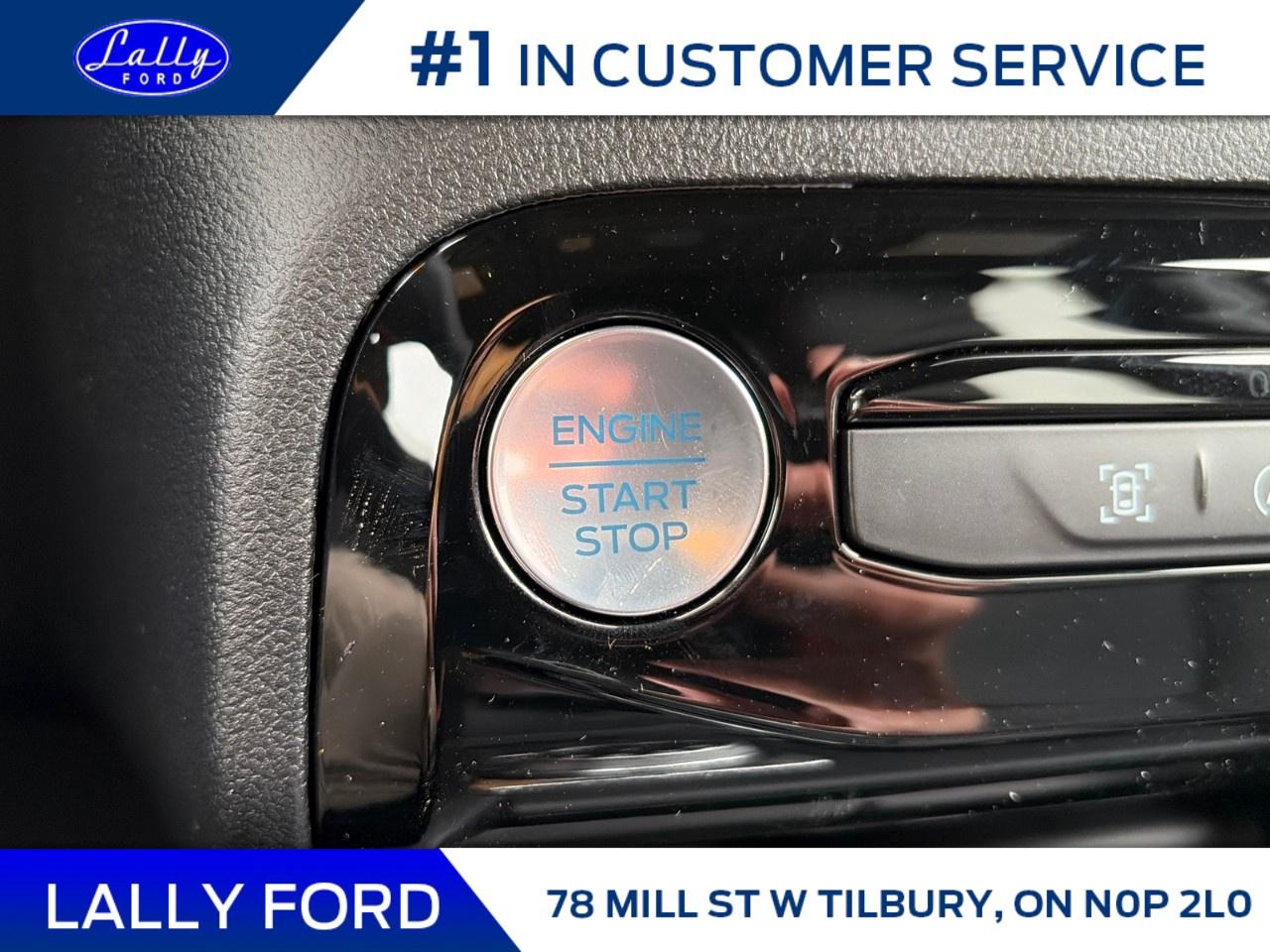 2026 Ford Escape ST-Line AWD Photo