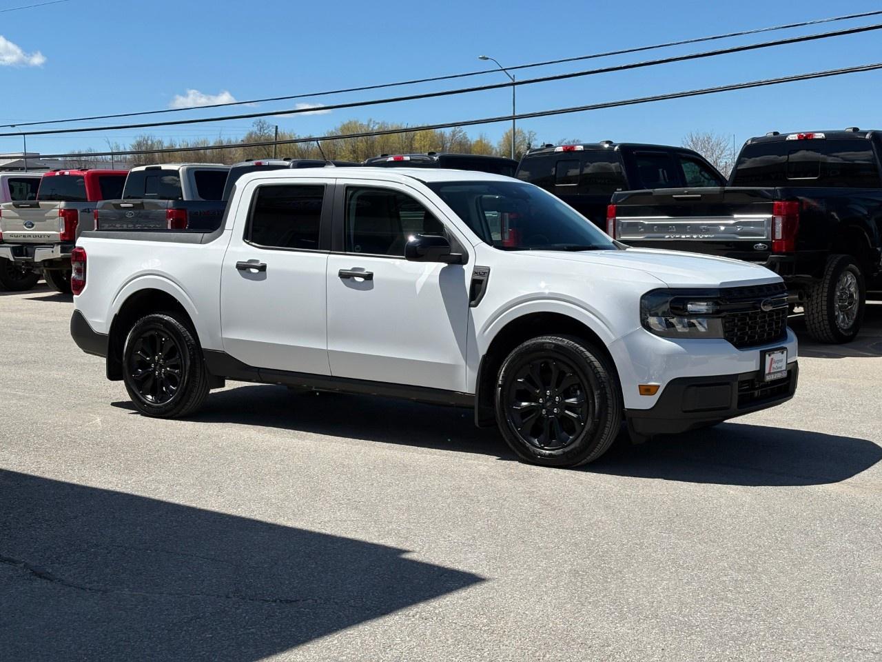 2024 Ford Maverick XLT AWD SuperCrew Photo4
