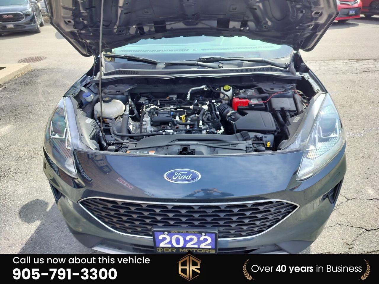 2022 Ford Escape Special Edition | No Accidents Reported | AWD Photo