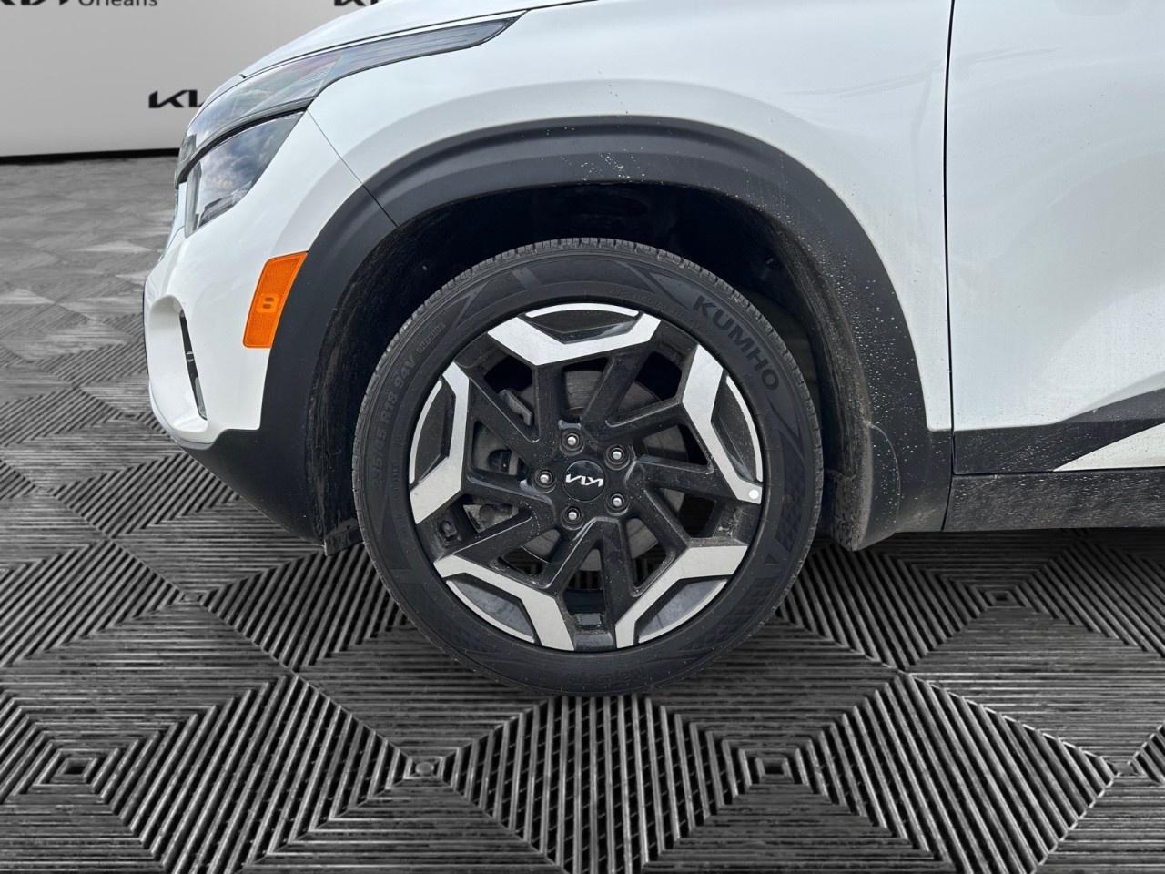 2024 Kia Seltos SX AWD w/Brown Interior Photo