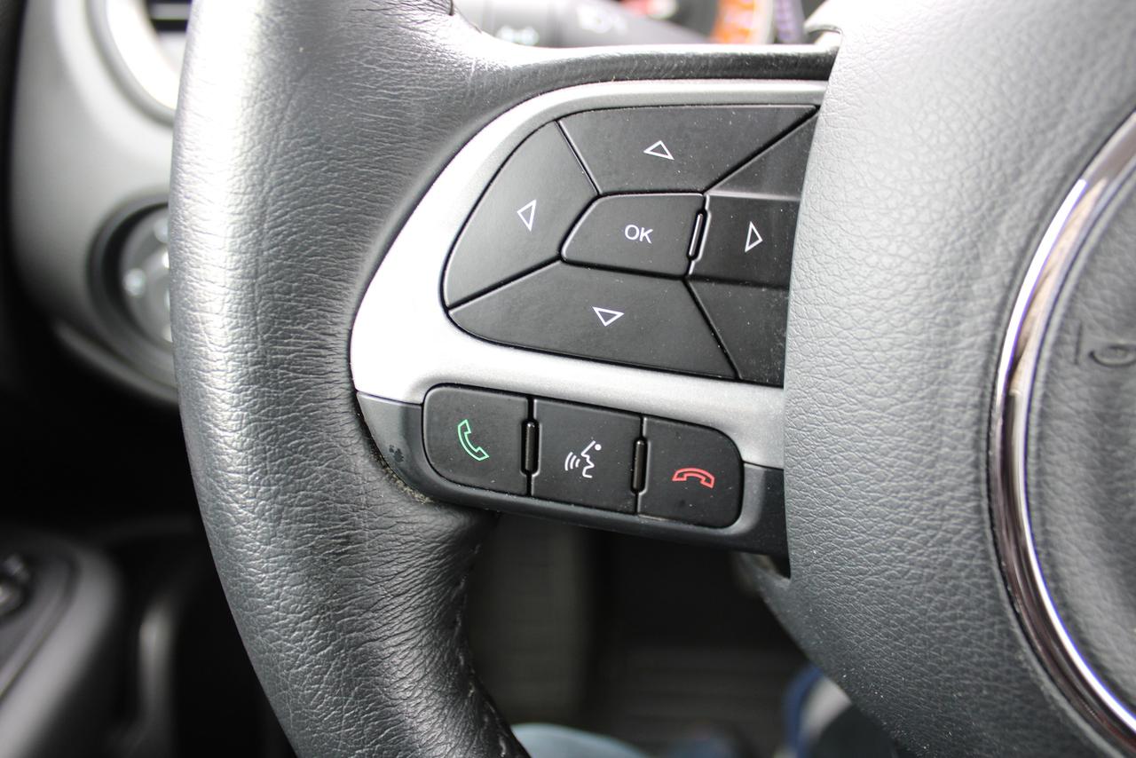 2023 Jeep Renegade North Photo