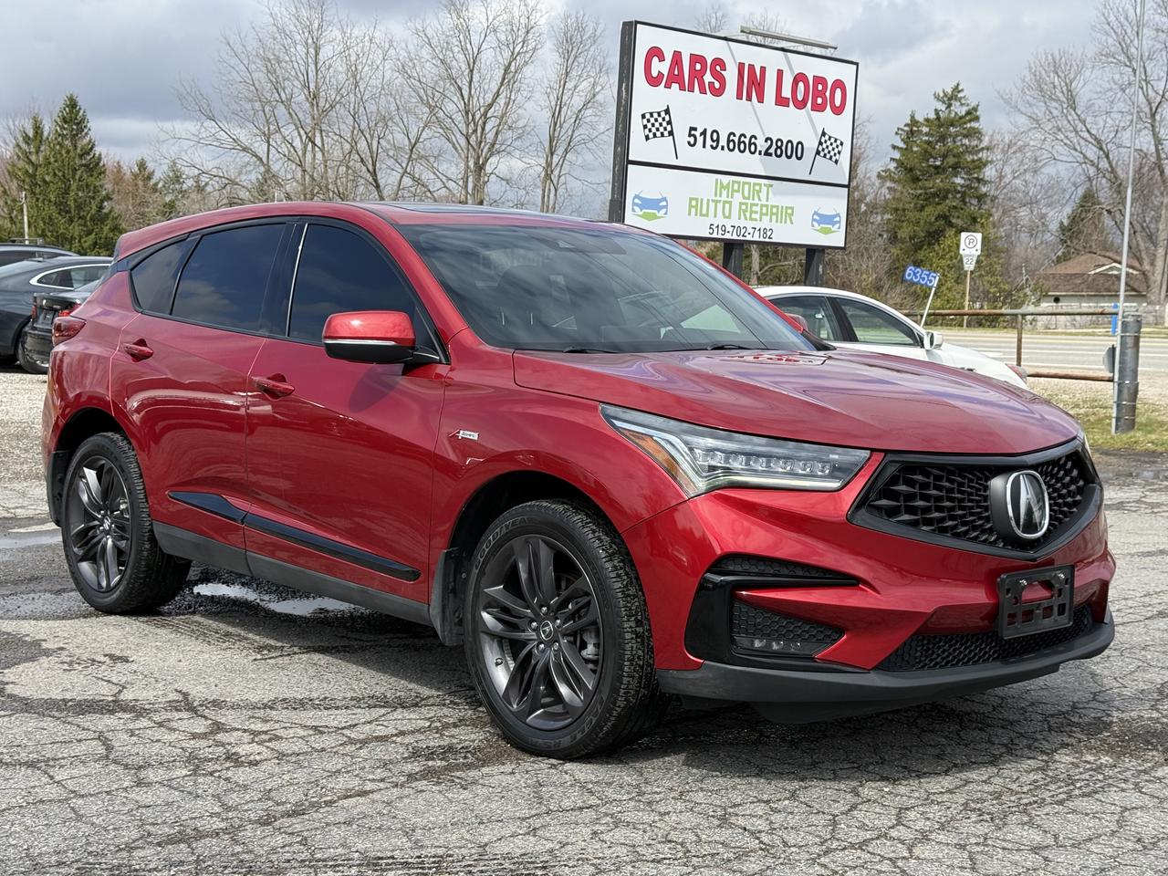 2019 Acura RDX A-Spec Photo