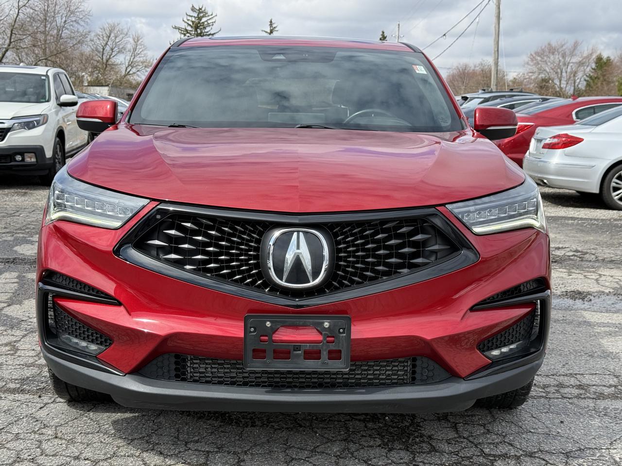 2019 Acura RDX A-Spec Photo