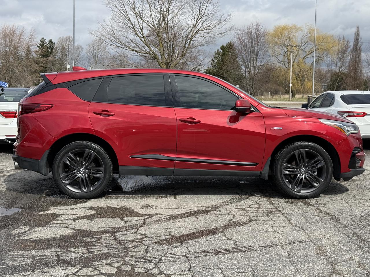2019 Acura RDX A-Spec Photo