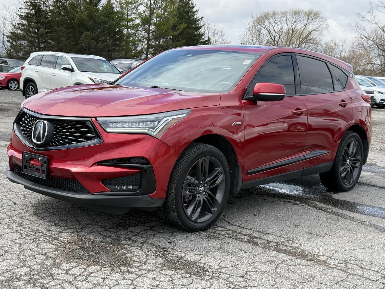2019 Acura RDX A-Spec Photo