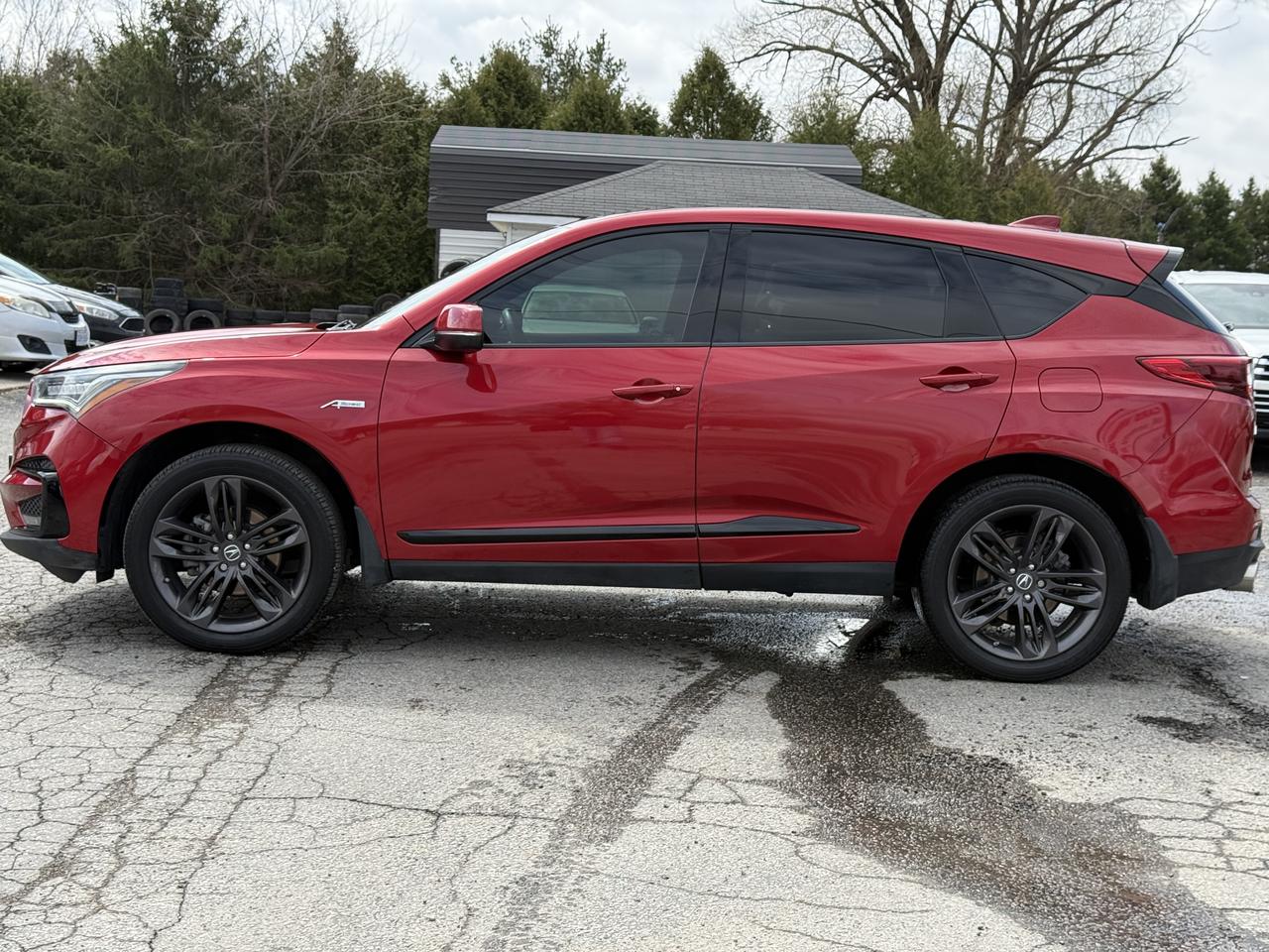 2019 Acura RDX A-Spec Photo